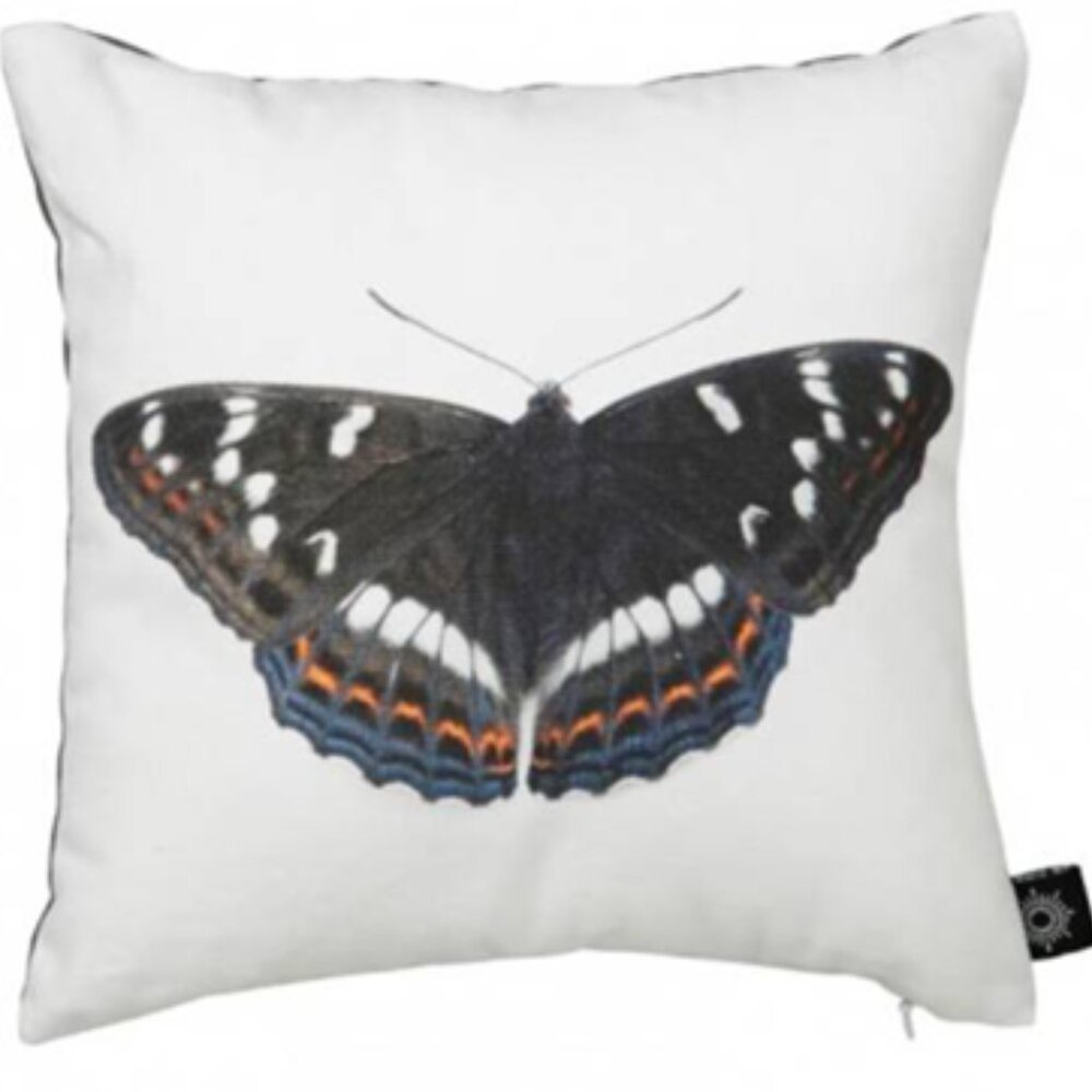 SWEDEN!  By Nord Cushion, Baby Butterfly Black Pute 10" x 10"